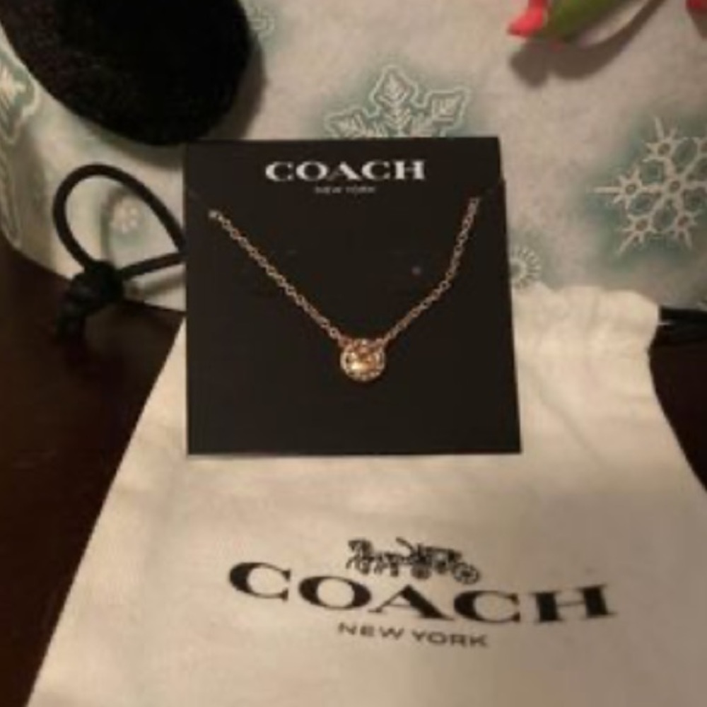 Coach Rose Gold Necklace
